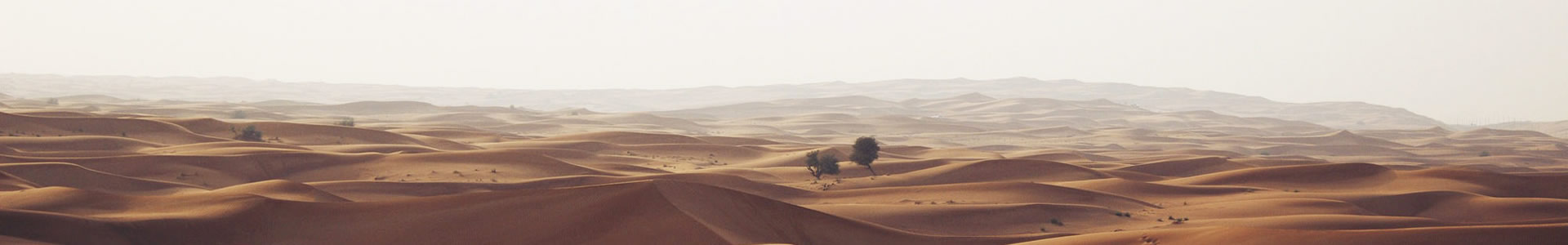 ɽнƻеƬ޹˾